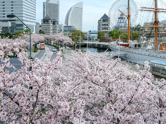 日本留學
