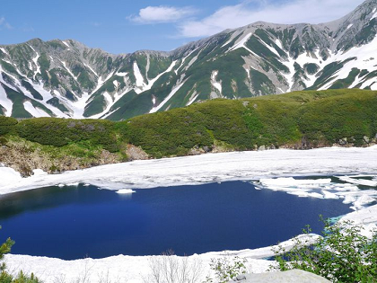 日本留學