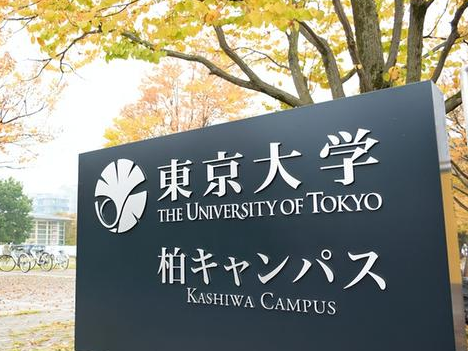 芥末留学