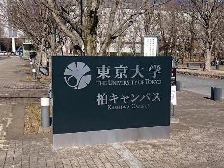 芥末留学