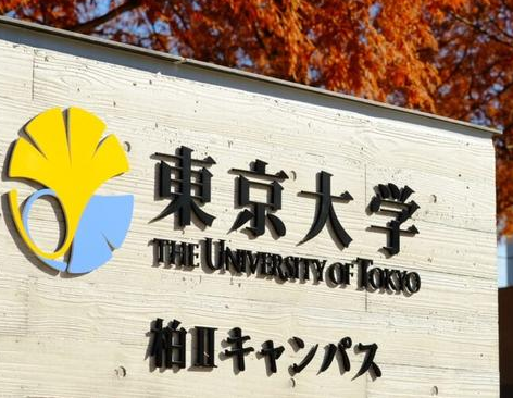 芥末留学