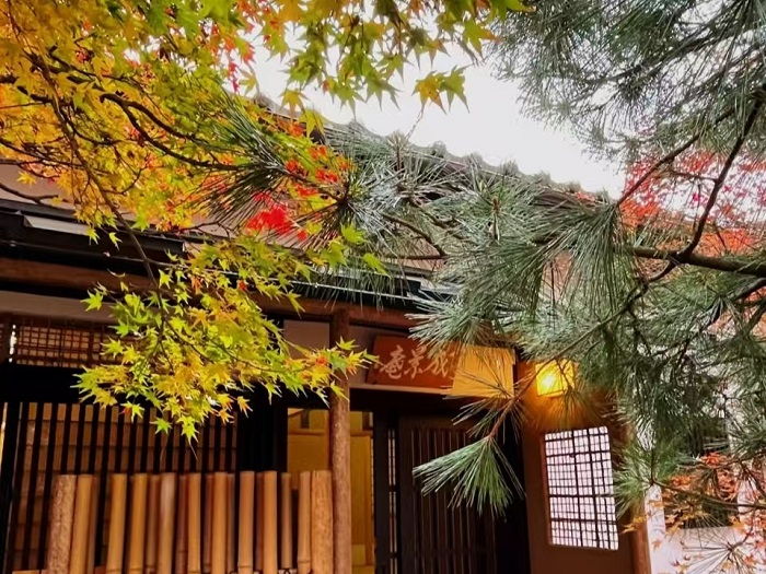 芥末留学