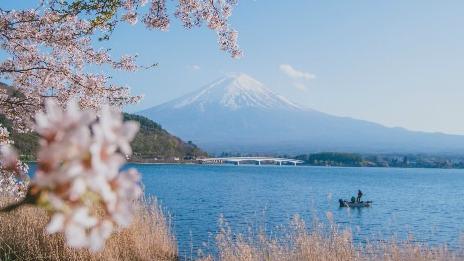 芥末留學