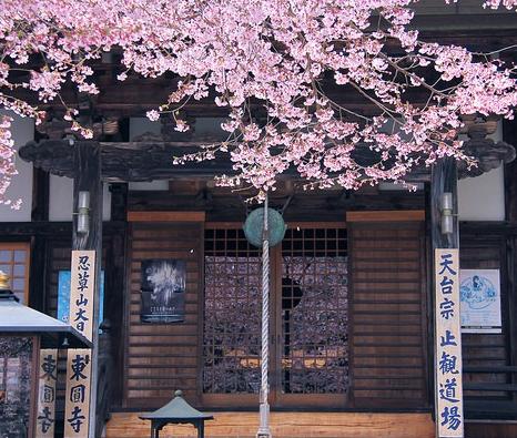 芥末留學(xué)