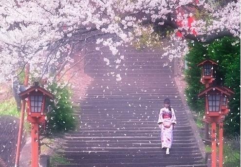 芥末留學(xué)