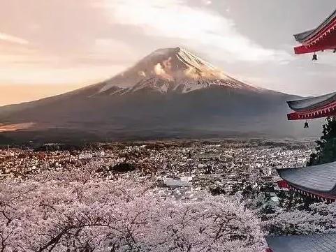 芥末留學