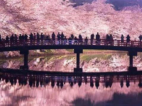 芥末留學