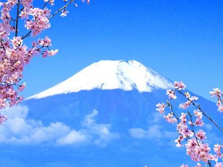 日本留学SGU英文项目深度解析：避开全英文授课的三大现实落差