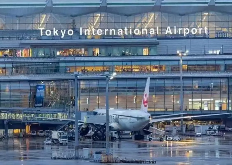 芥末留學