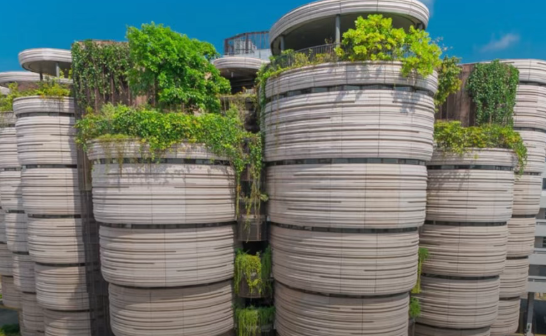 新加坡安全全球TOP3！揭秘鞭刑法律如何塑造安心环境