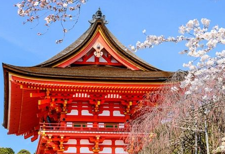 芥末留學
