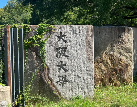 芥末留學
