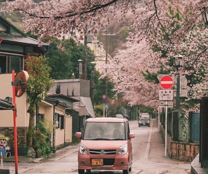 芥末留學