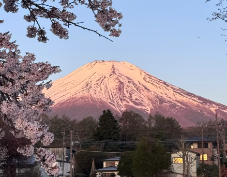 芥末留學