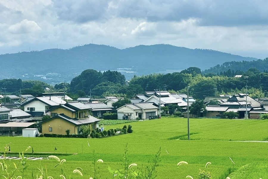 芥末留學