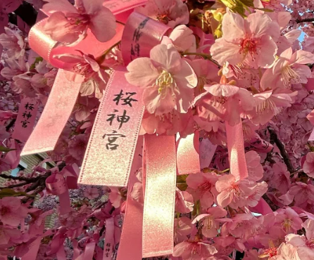 芥末留學(xué)