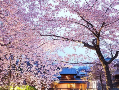 芥末留學(xué)