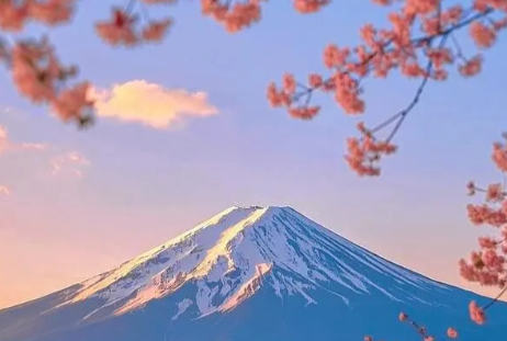 芥末留學