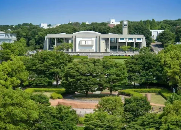 从日本语言学校到日本工签:赴日留学就职申请指南！