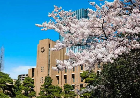 为什么日本语言学校名额空前紧张?日本语言学校
