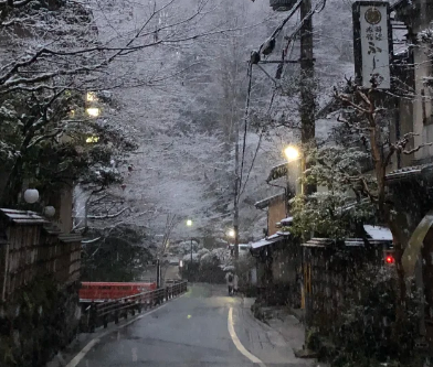 芥末留學