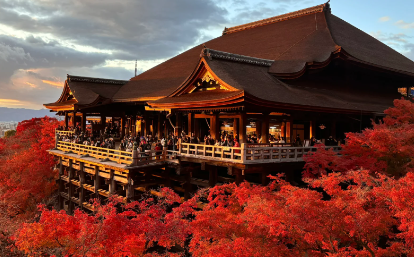 芥末留學(xué)