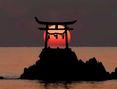 芥末留學