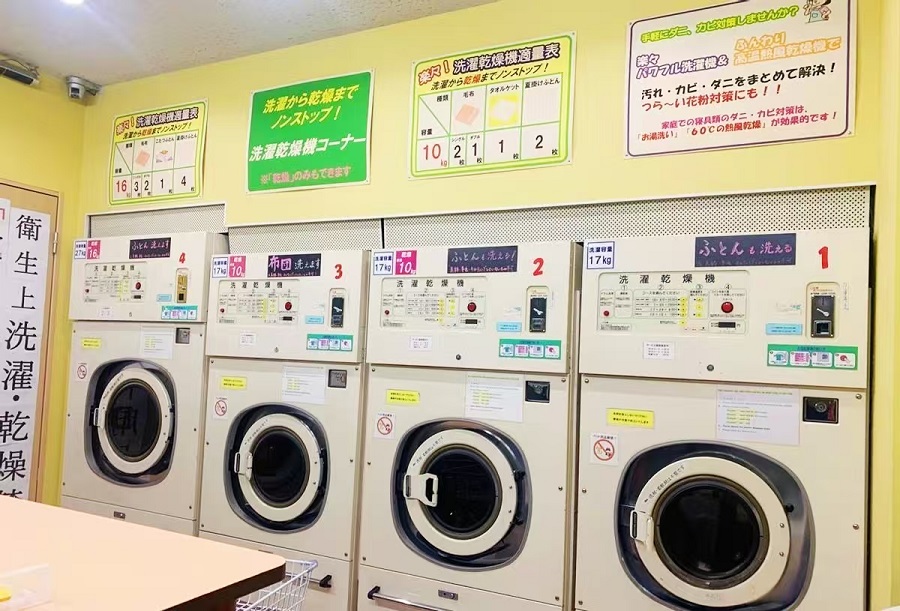 芥末留學