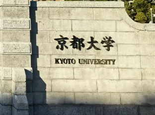 芥末留学