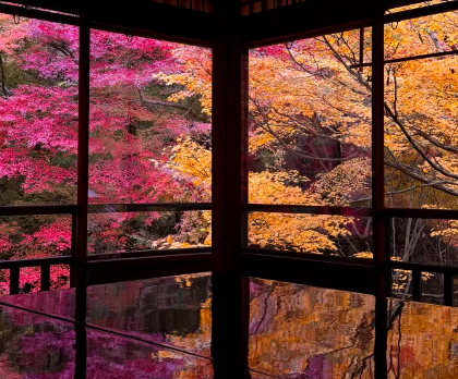 芥末留學(xué)
