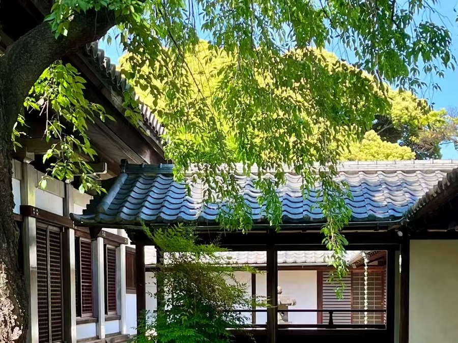 干貨！不同年齡、階段去日本留學(xué)的詳細攻略！