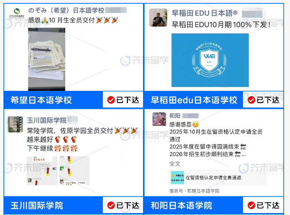 东京地区25年10月生的在留开始下发啦！快收好这份行前准备!