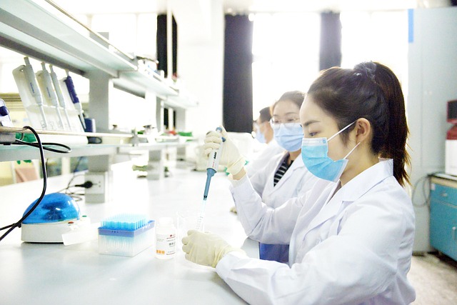 畢業(yè)即高薪-東京大學藥學部