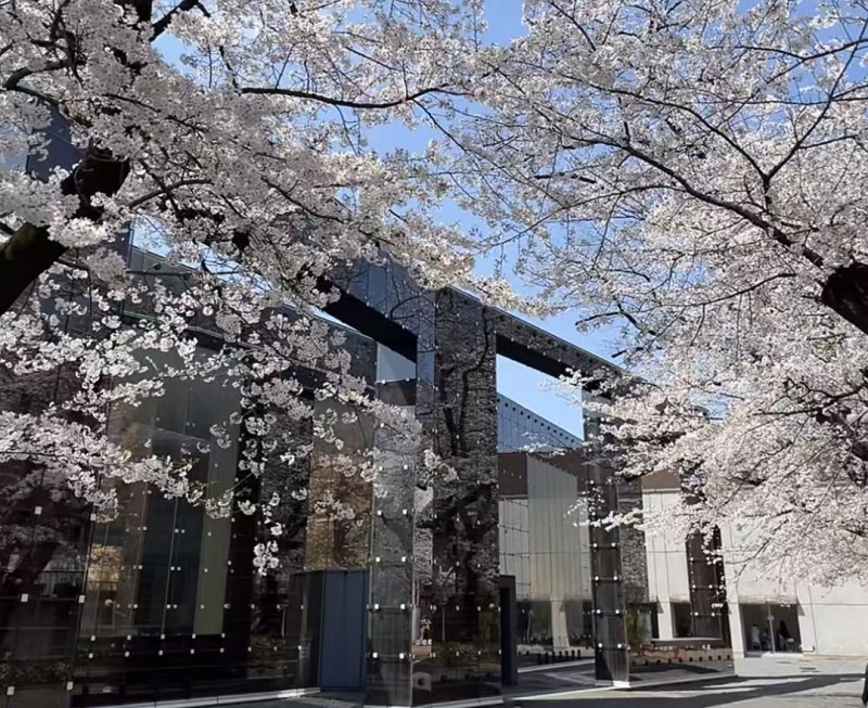 芥末留學(xué)