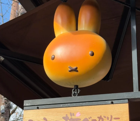 芥末留學