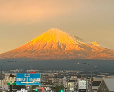 芥末留學