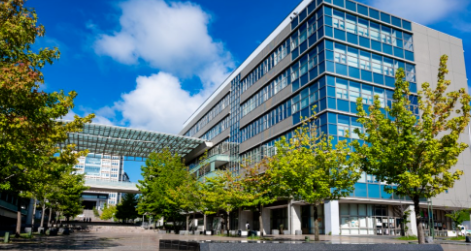 日本语言学校保姆级避坑指南!日本语言学校择校攻略！