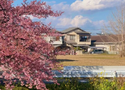早稻田大学和庆应义塾大学到底有什么差距？日本留学