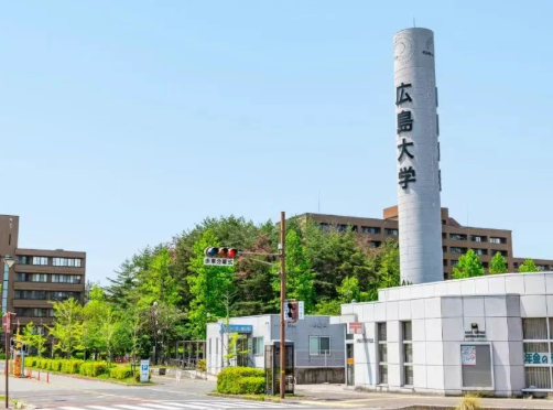 日本语言学校的真相：上名校？在日就职？还是回国？|语言学校就得这么选！