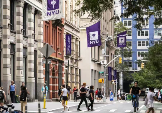 ​​纽约大学