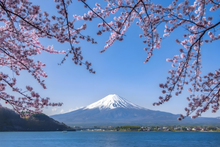 日本京都地区升学就职双适配的 5 所日本语言学校|日本留学