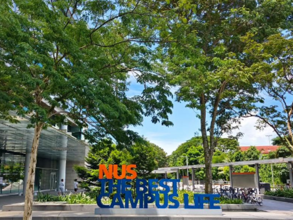 新加坡冷门专业捡漏攻略｜小众赛道弯道超车|新加坡留学