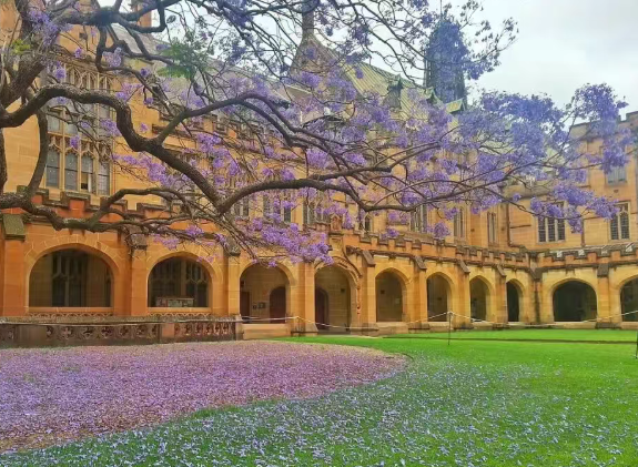 悉尼大学
