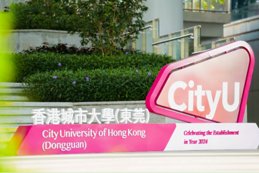 香港城市大学（东莞）·复旦经院 商务资讯系统硕士详解|香港留学