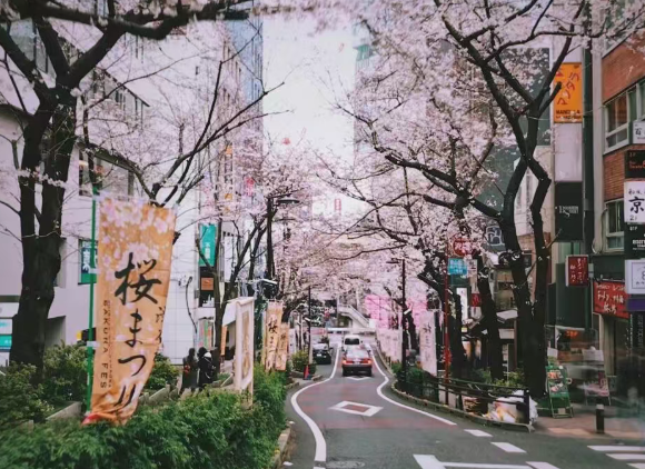 日本修士（硕士）申请三大路径全解析 | 日本留学