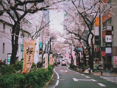 日本语言学校怎么选？