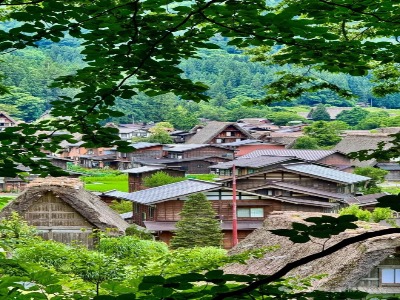 紧急更新｜2026 日本留学签证审核收紧 别再准备旧材料| 日本留学