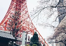 日本留学专门学科申请服务