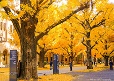 日本留学大学院修士&研究生课程申请服务（在日）