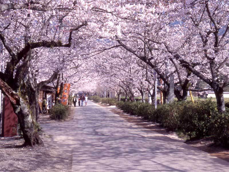 日本留學生活